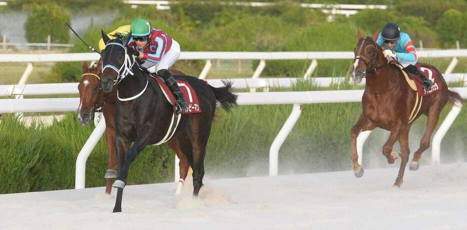 兵庫ジュニアグランプリを勝ったハッピーマン＝園田競馬場（撮影・林俊志）