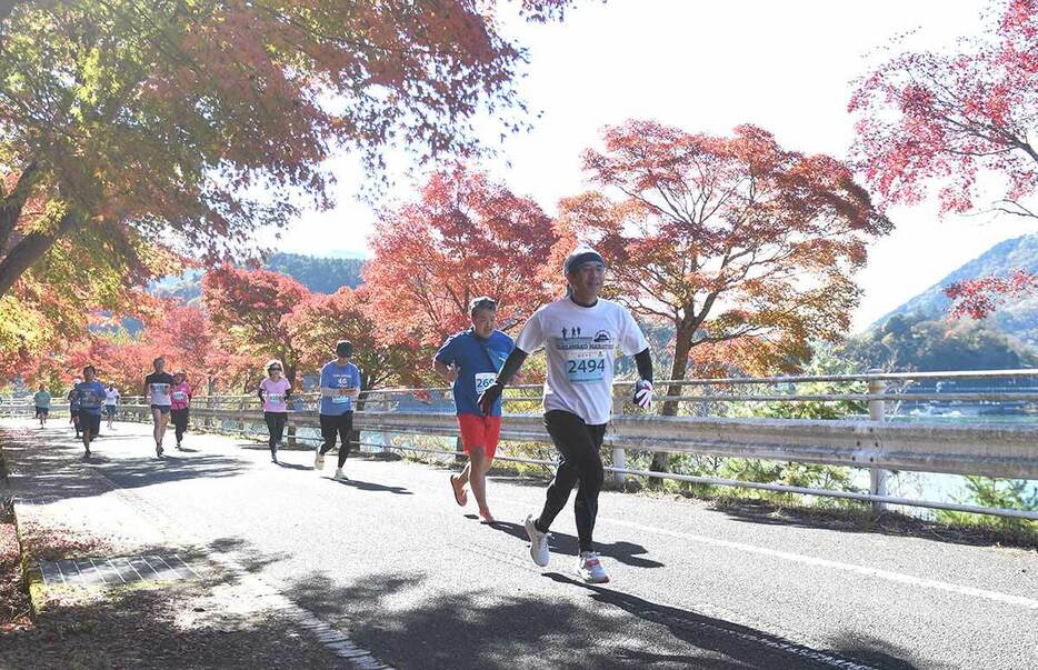 紅葉の木々の下を駆け抜けるランナー＝２４日午前、丹沢湖畔