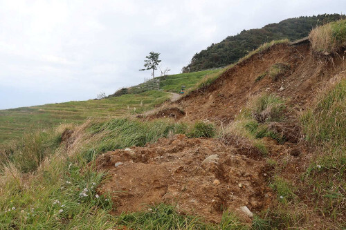 豪雨で再び棚田が崩落した白米の千枚田（１１月１日）＝輪島市提供