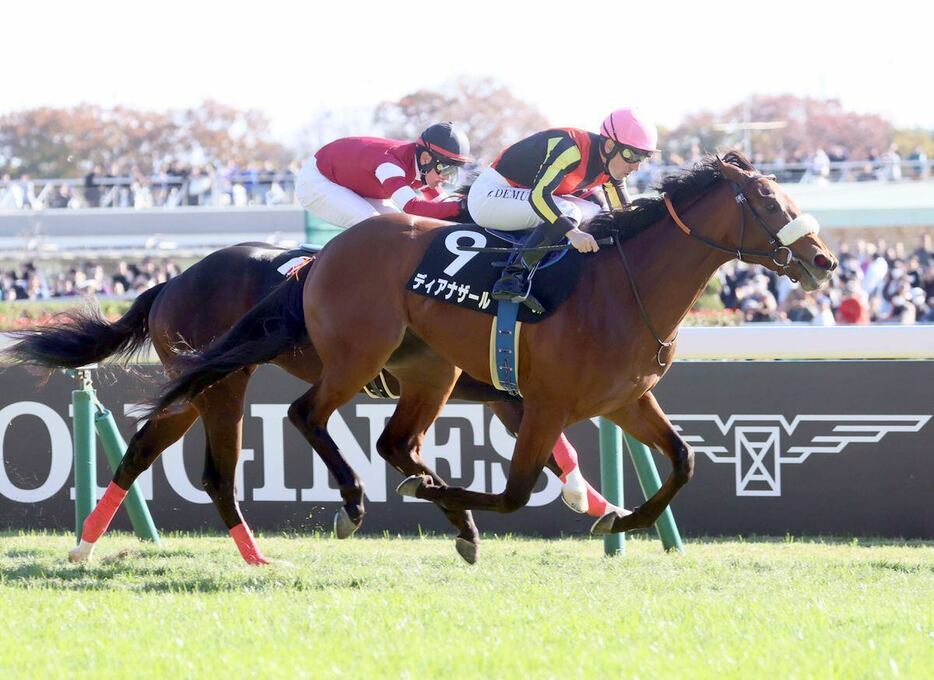 ベゴニア賞を制し2勝目を挙げたディアナザール＝東京競馬場（撮影・塩浦孝明）