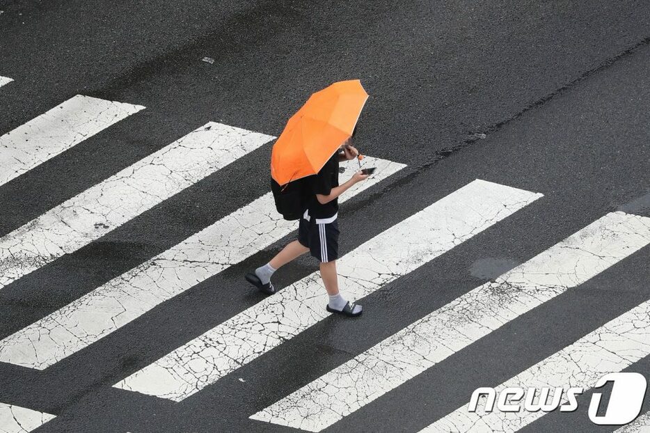 9日、大邱市寿城区の横断歩道で、傘を差した青年がスマートフォンに集中したまま横断歩道を渡っている (c)news1