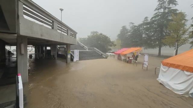 11時ごろの松山市内