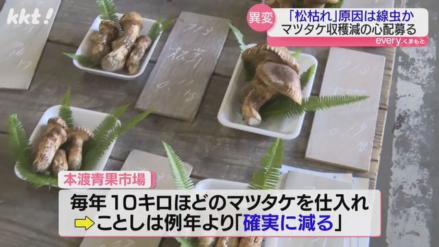 本渡青果市場は今年の仕入れ量は例年より確実に減るとみている