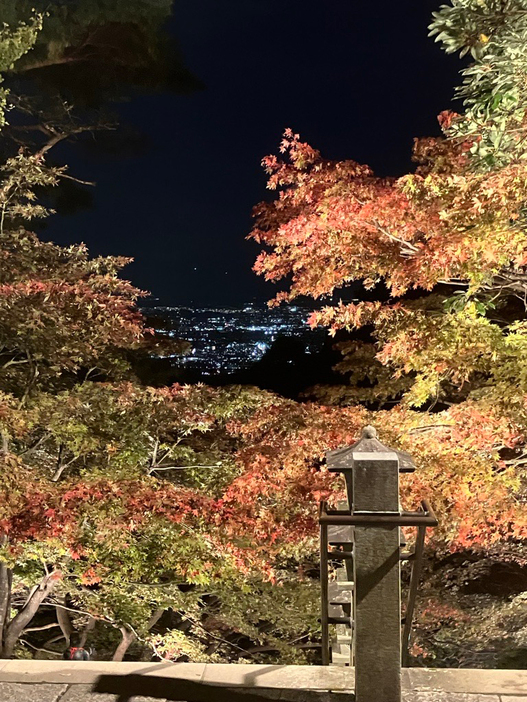 大山寺でライトアップされた紅葉＝１９日、神奈川県伊勢原市