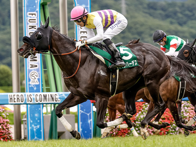 昨年の七夕賞を制したセイウンハーデス(撮影：下野雄規)