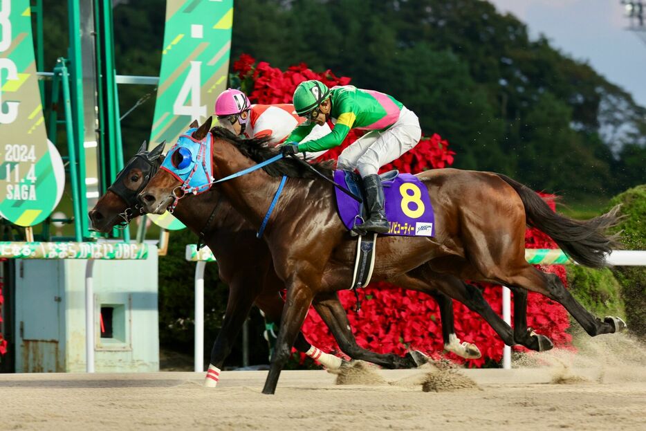 JBCスプリント・タガノビューティーと石橋脩騎手 (C)佐賀県競馬組合