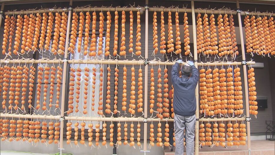 「連柿」と呼ばれる干し柿づくり 岐阜県山県市