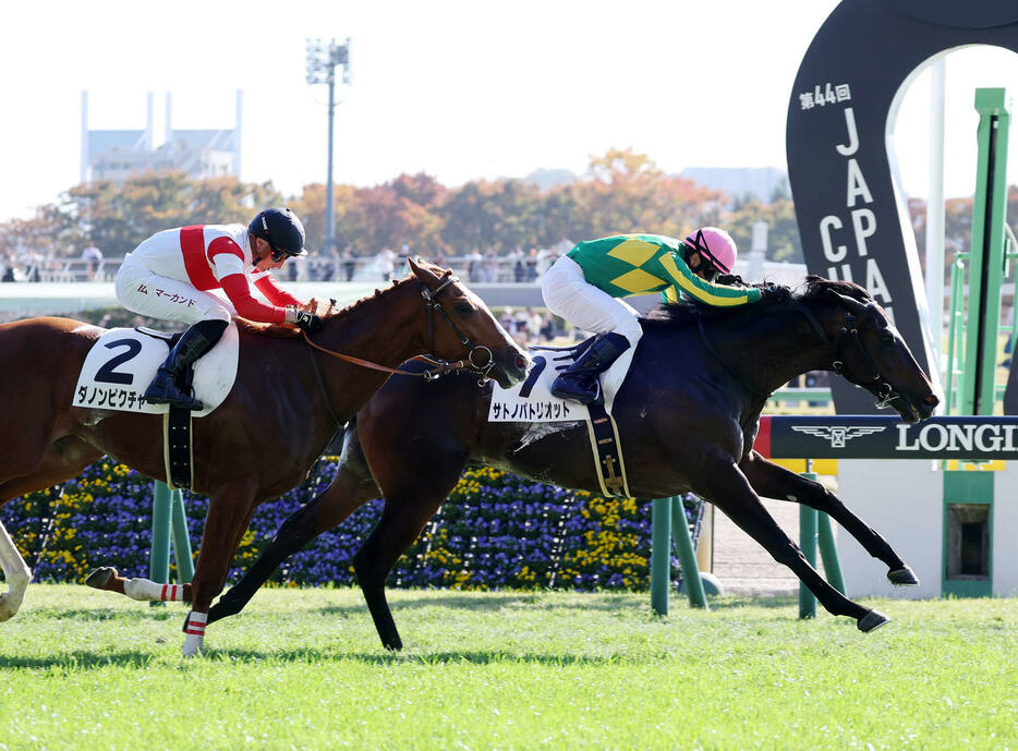 東京5R、新馬戦を制したサトノパトリオット（右）と北村宏司騎手（撮影・鈴木正人）