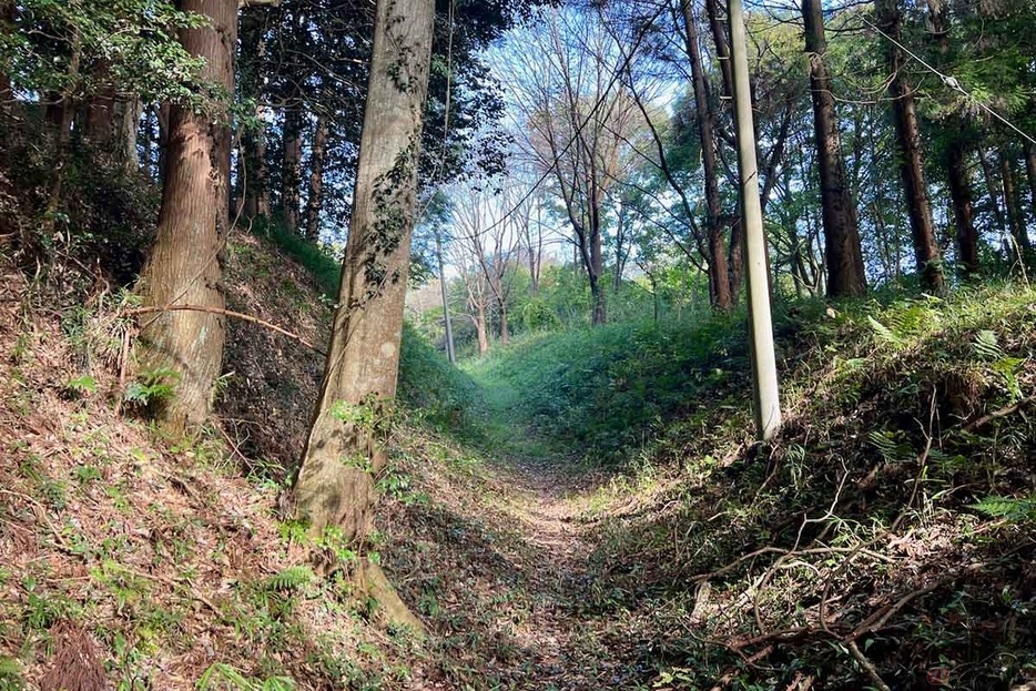 道中は堀の様子が明確にわかる遺構だった。高い土塁と堀で防御していた様子が伝わる