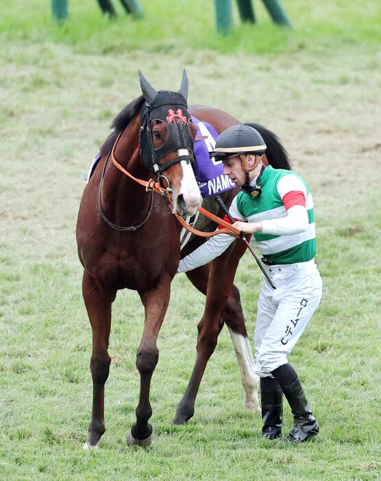 ゴール板通過後、すぐにナミュールから下馬したC.デムーロ騎手（カメラ・渡辺　了文）