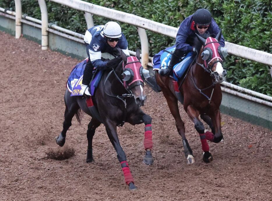 ペプチドナイル（左）は余力十分に坂路を駆け上がった