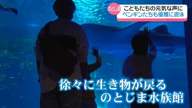 テレビ金沢NEWS