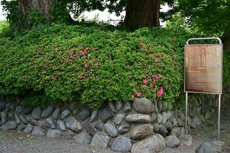 伝立川氏館の土塁　撮影／西股 総生（以下同）