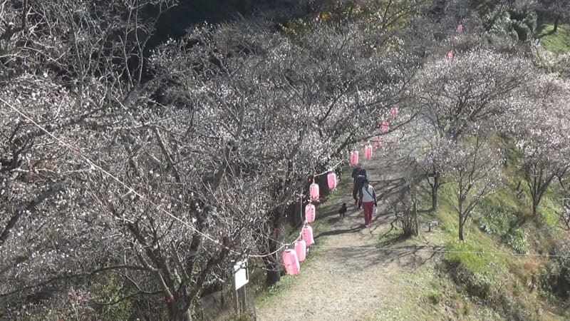 （写真：群馬テレビ）