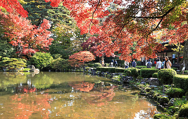 池の周りを歩いて紅葉の景色を楽しめる「もみじ公園」＝山形市東原町２丁目