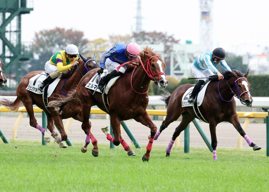 東京4R、新馬戦を制したエルマーゴ（中央）とT・マーカンド騎手（撮影・鈴木正人）