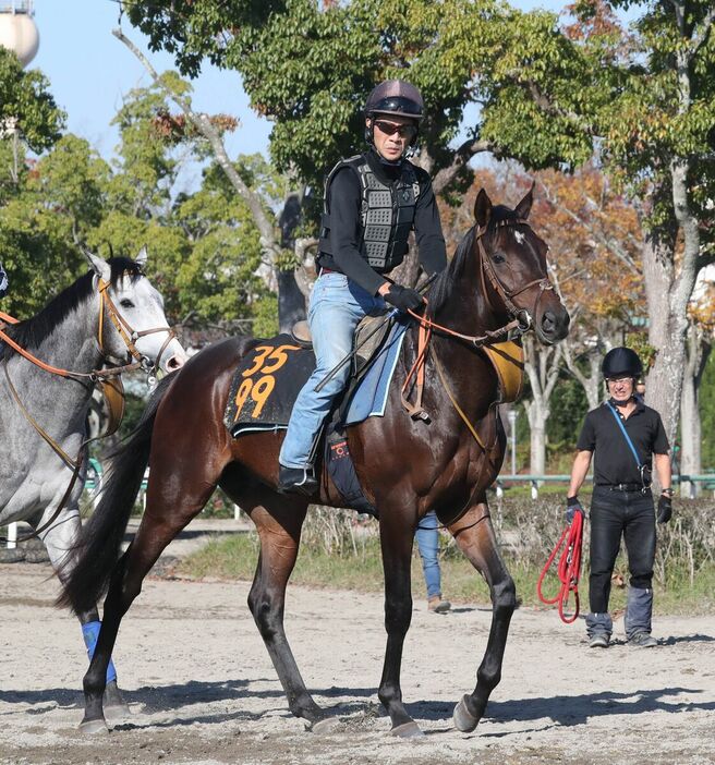 馬トク激走馬に算出されたファイアンクランツ（カメラ・荒牧　徹）