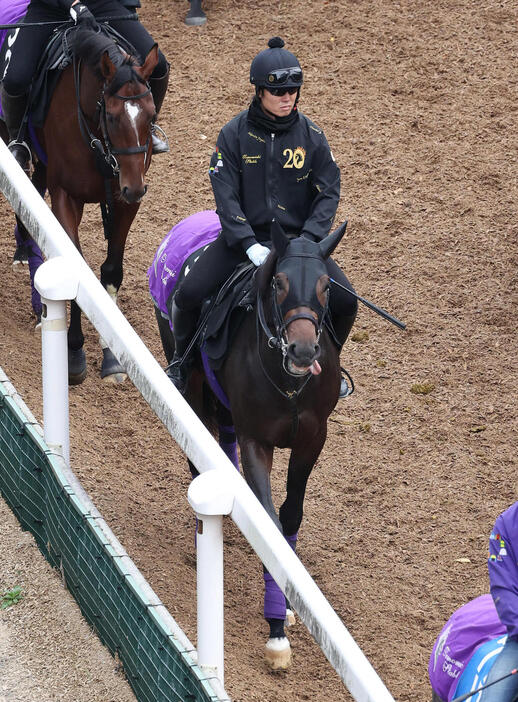 逍遥馬道で運動するショウヘイ（撮影・白石智彦）