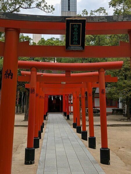 境内にある脇道にある末社、楠木稲荷神社