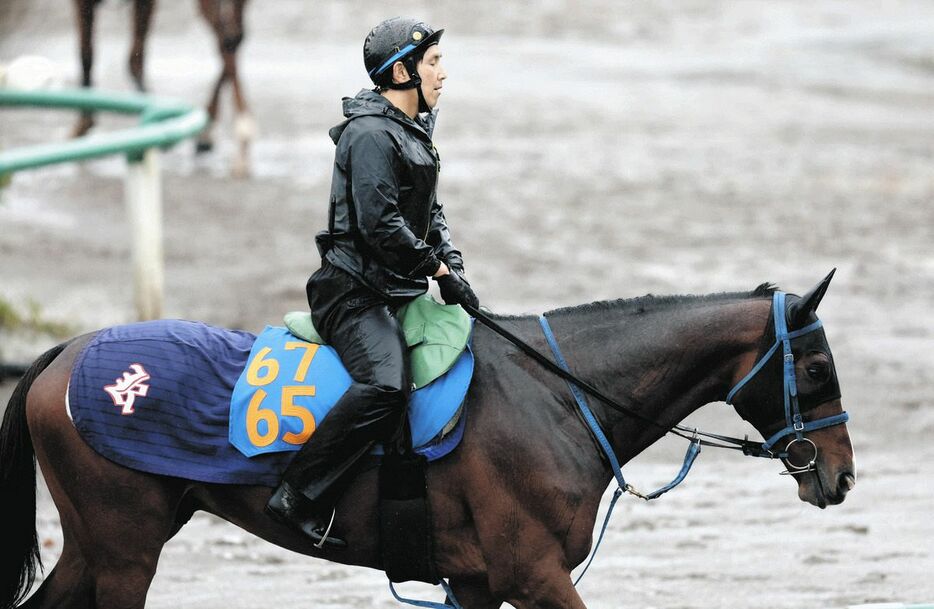 馬場へ向かうキタノヴィジョン