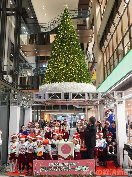 あべのハルカス近鉄本店でクリスマスツリー点灯式