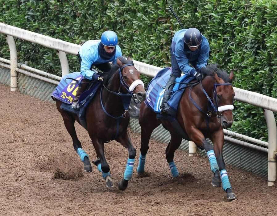 ブローザホーン（左）＝栗東トレセン（撮影・岩川晋也）