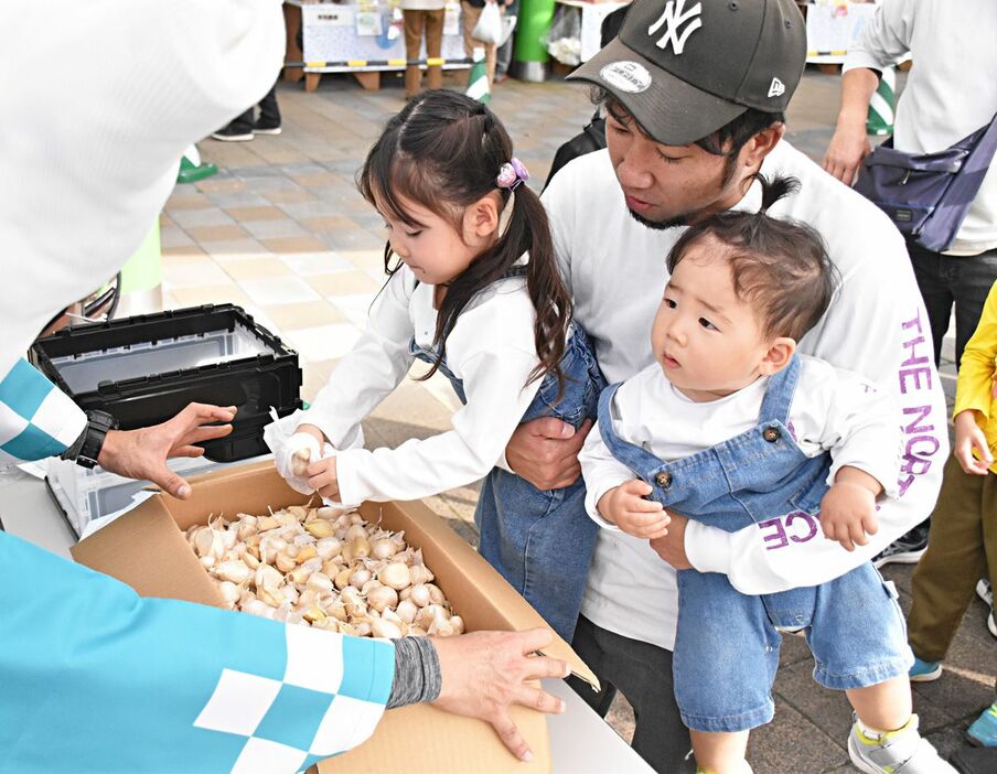 ニンニクのつかみ取りを楽しむ親子連れ