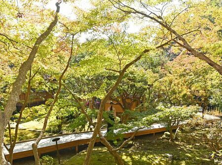 公開範囲が3倍となり、高い位置から庭園の風景を楽しめるようになった九年庵＝神埼市神埼町