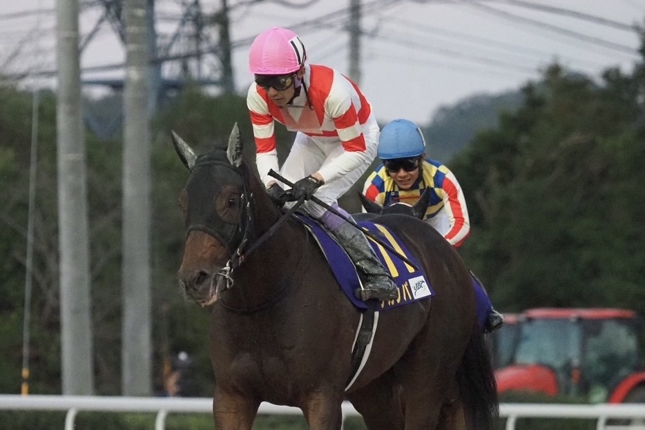 JBCスプリント・チカッパと武豊騎手 (C)Y.Shigeyama