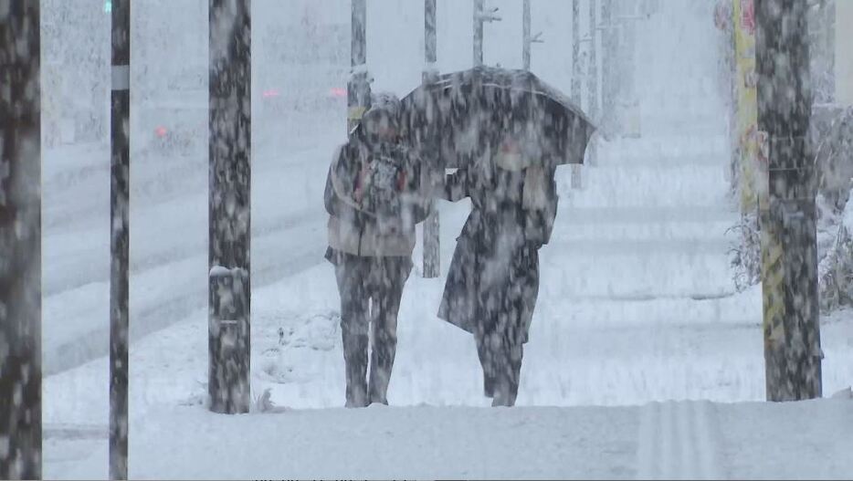 大粒の雪が降る長野県白馬村