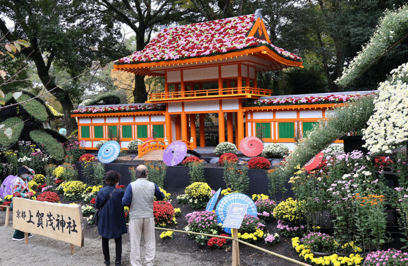 屋根の赤、ピンク、白の菊が見ごろを迎えた楼門＝静岡県三島市一番町の楽寿園で、2024年11月14日午前10時21分、石川宏撮影