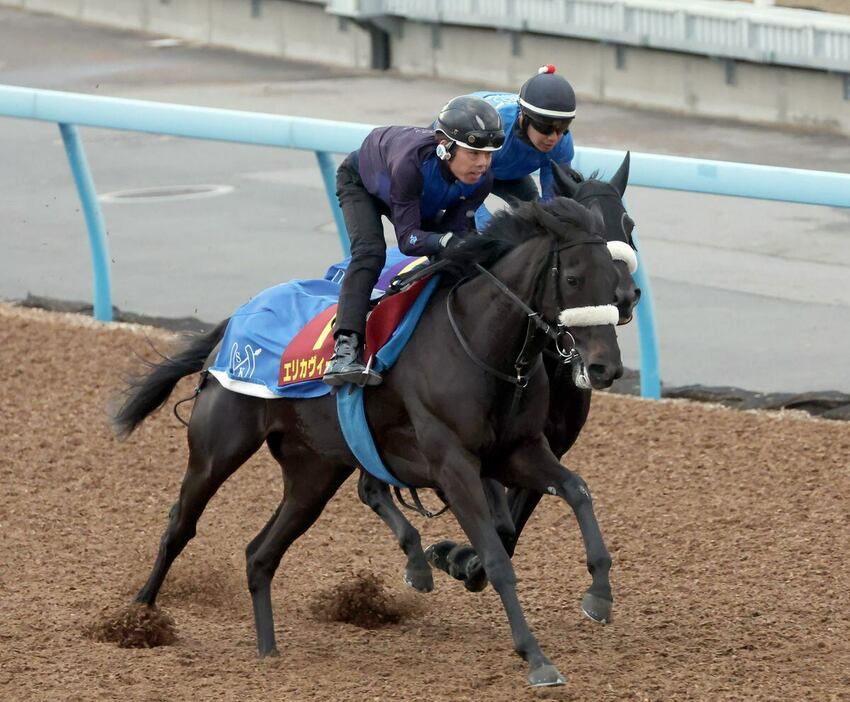 エリカヴィータ＝美浦トレセン（撮影・塩浦孝明）