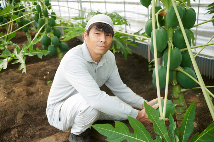 パパイアを育てる塩田冬彦さん