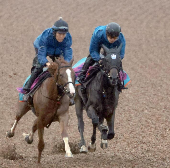 レモンバーム（右）＝美浦トレセン（撮影・塩浦孝明）