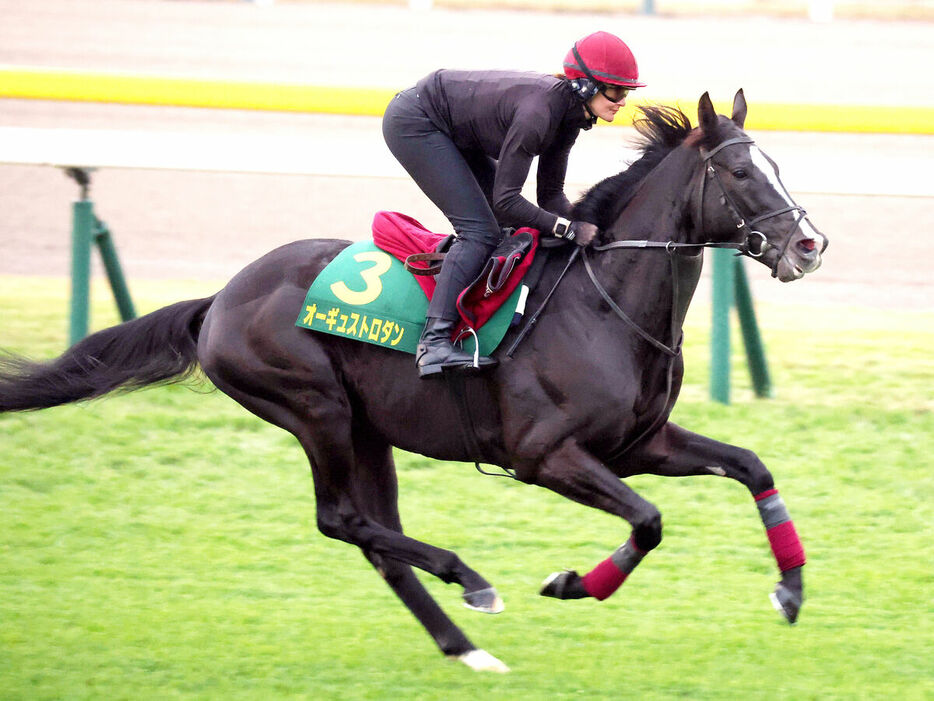 東京競馬場の芝コースで追い切ったオーギュストロダン（カメラ・池内　雅彦）