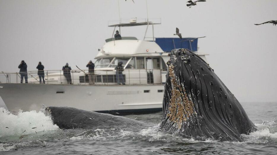 Image Photo： Getty Images