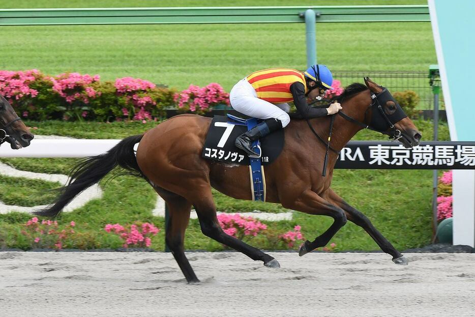 東京で4戦4勝のコスタノヴァ