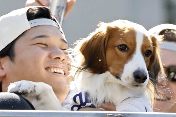 大谷とともに愛犬デコピンも米メディアから注目されている。(C)Getty Images