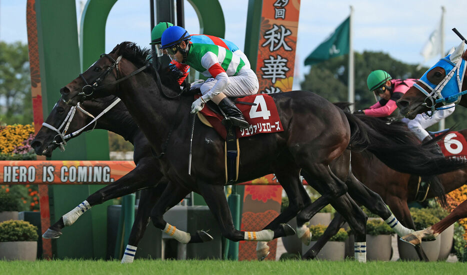 京都大賞典・シュヴァリエローズと北村友一騎手 (C)スポニチ