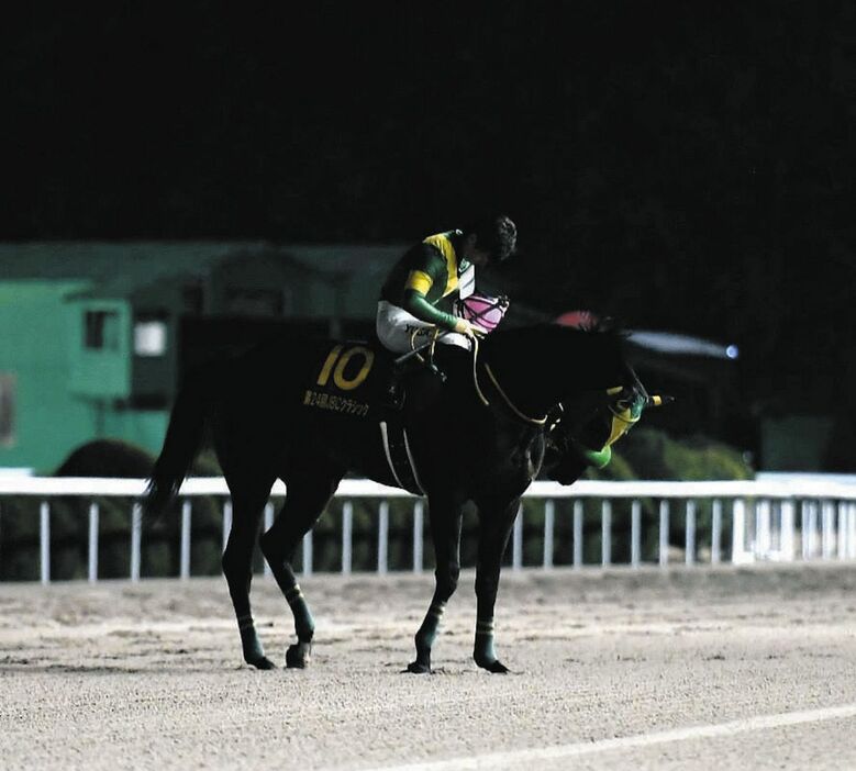 スタンドのファンに一礼するウィルソンテソーロと川田将雅騎手