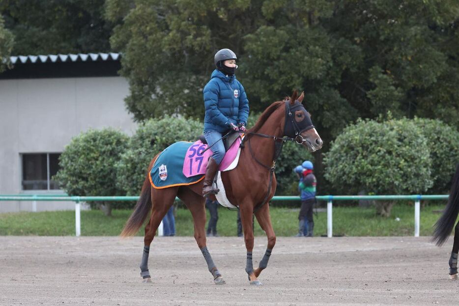 ミリアドタレント