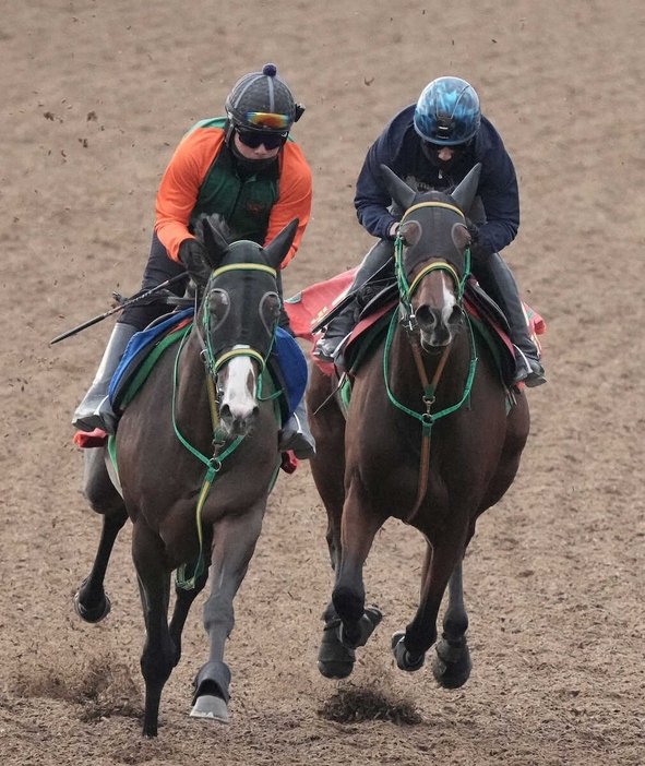 ウッドチップコース、併せ馬で追い切るライラック（右）（撮影・郡司修）