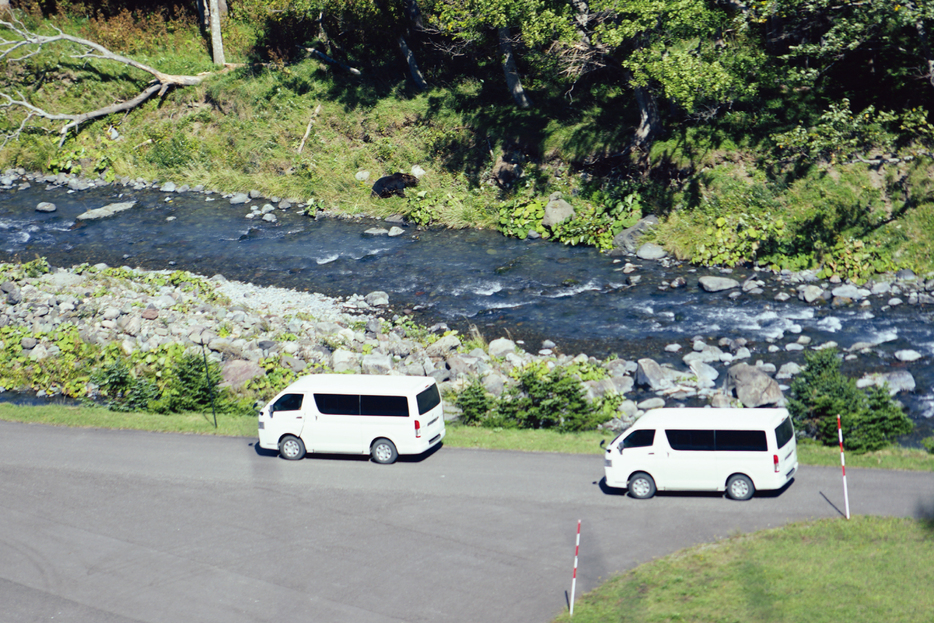 眼前の車を全く気にすることのない様子で現れた野生のヒグマ。直後、のそのそと歩き木陰へ消えていった（WEDGE以下同）