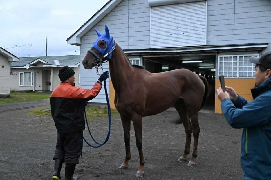 新ひだか町の畠山牧場（豊畑トレーニングセンター）に到着したアイコンテーラー