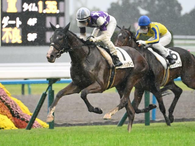 2歳新馬戦を制したサウンドサンライズ(c)netkeiba