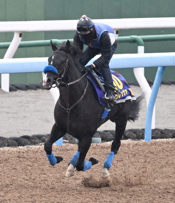 美浦ウッドで単走で追い切るドゥレッツァ（撮影・千葉一成）