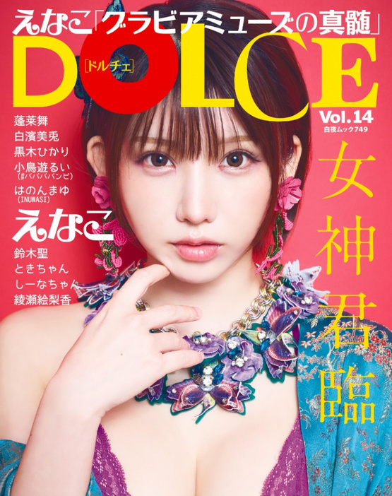 『DOLCE Vol.14』表紙を飾ったえなこ