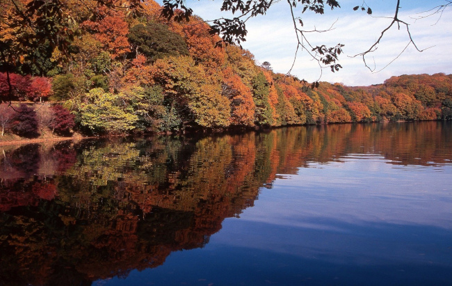 伊東市の一碧湖や丸山公園、紅葉が見頃を迎えるのは12月上旬頃の見通し