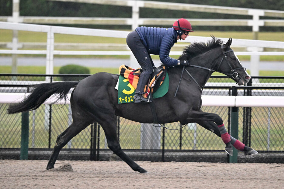 ディープインパクトのラストクロップ・オーギュストロダン