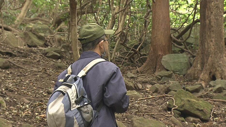 サルの個体数調査始まる